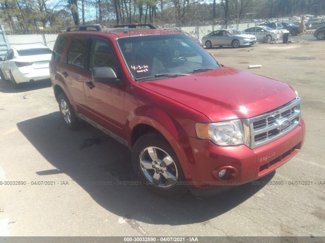 Ford Escape (2010)