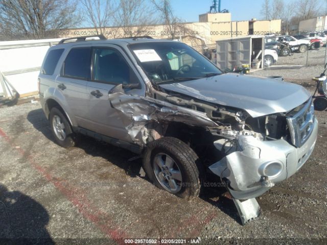Ford Escape (2010)