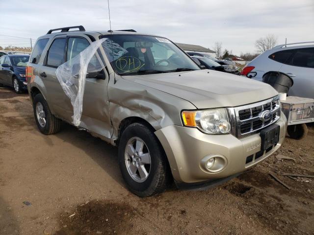 Ford Escape xlt (2010)