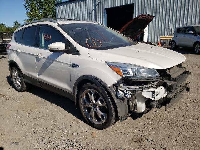 Ford Escape tit (2013)