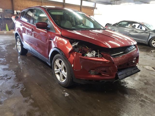 Ford Escape se (2015)
