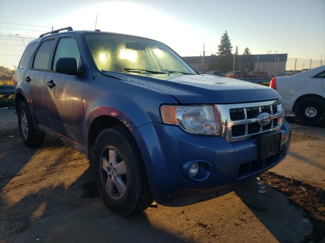 Ford Escape xlt (2010)