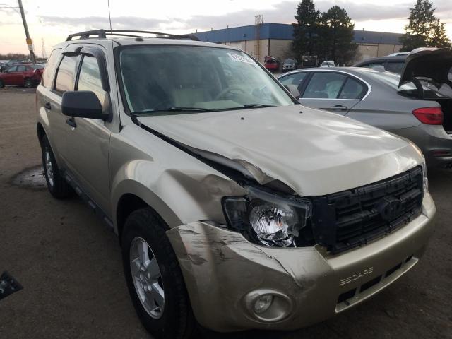 Ford Escape xlt (2010)