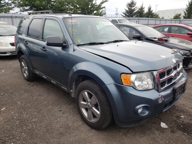 Ford Escape xlt (2010)