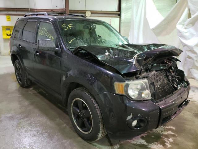 Ford Escape xlt (2010)