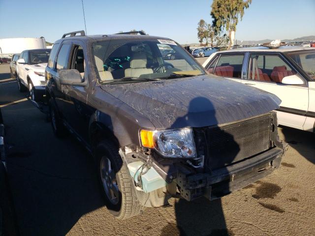 Ford Escape xlt (2010)