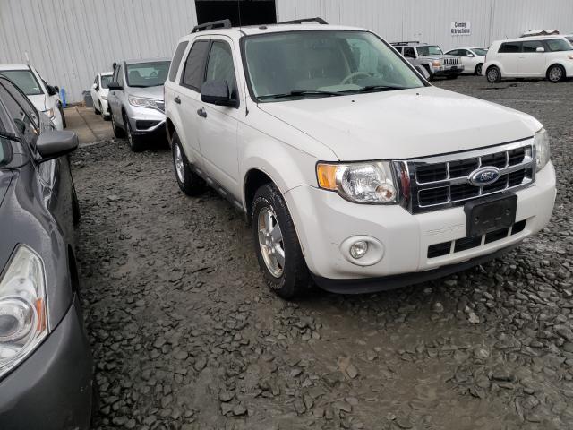 Ford Escape xlt (2010)