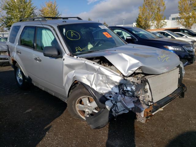 Ford Escape xlt (2011)