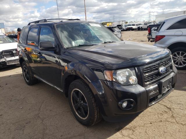 Ford Escape xlt (2011)