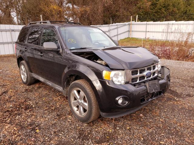 Ford Escape xlt (2011)