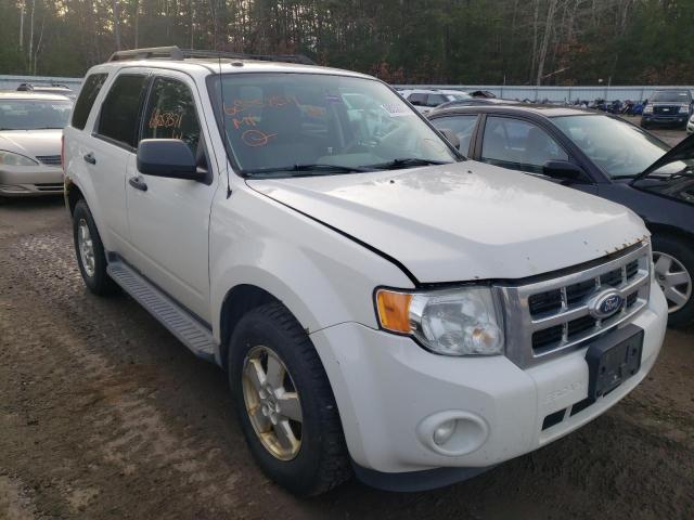 Ford Escape xlt (2011)