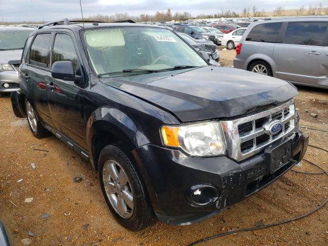 Ford Escape xlt (2011)