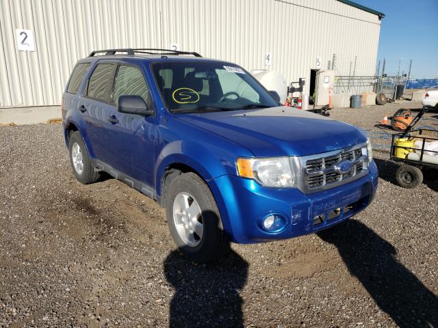 Ford Escape xlt (2011)