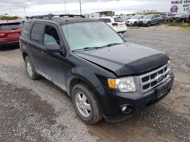 Ford Escape xlt (2011)