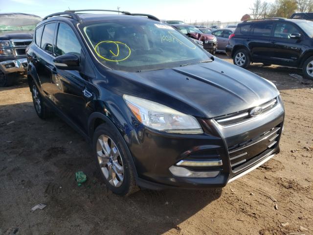Ford Escape sel (2013)