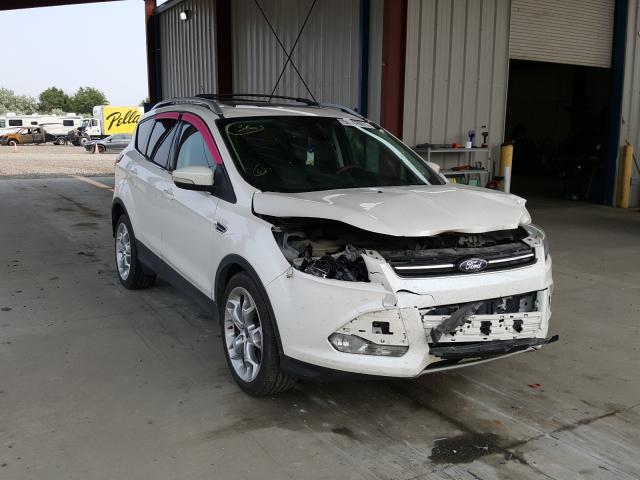 Ford Escape tit (2013)