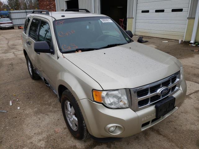 Ford Escape xlt (2010)