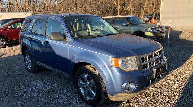 Ford Escape xlt (2010)