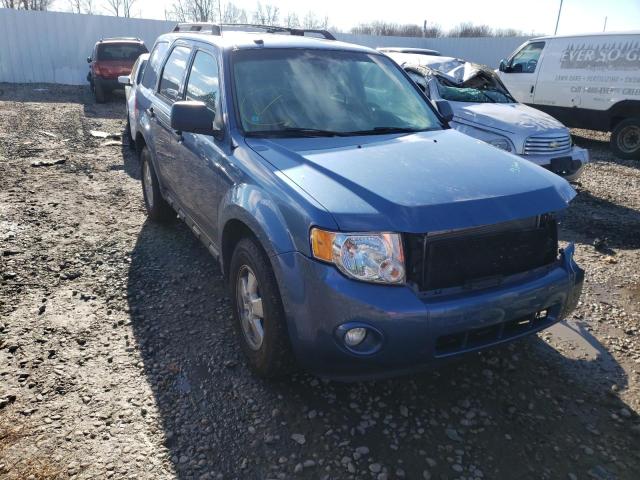 Ford Escape xlt (2010)