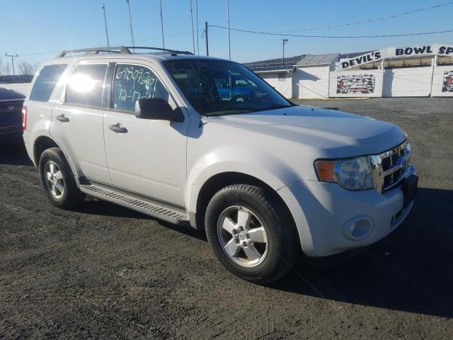 Ford Escape xlt (2010)