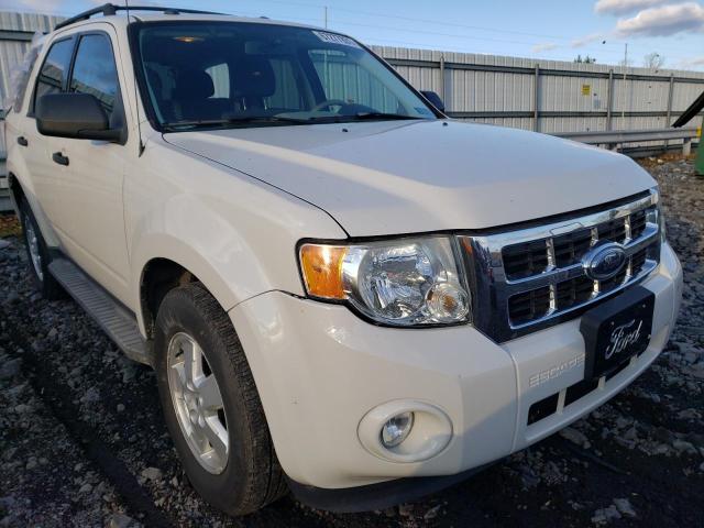 Ford Escape xlt (2010)