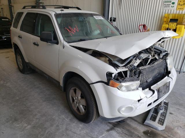 Ford Escape xlt (2010)