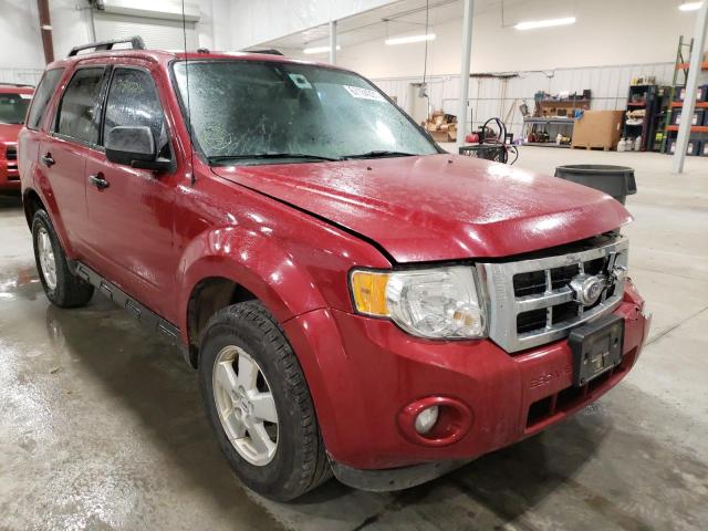 Ford Escape xlt (2011)