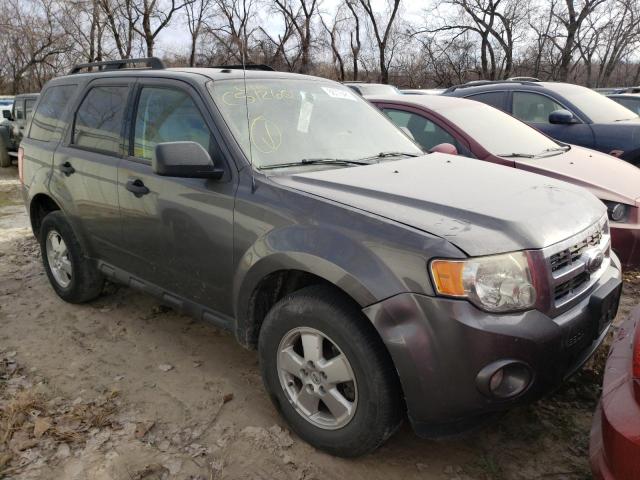 Ford Escape xlt (2011)