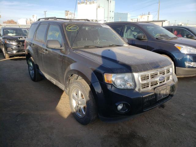 Ford Escape xlt (2010)