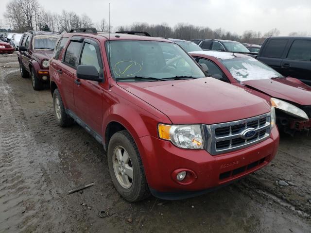 Ford Escape xlt (2011)