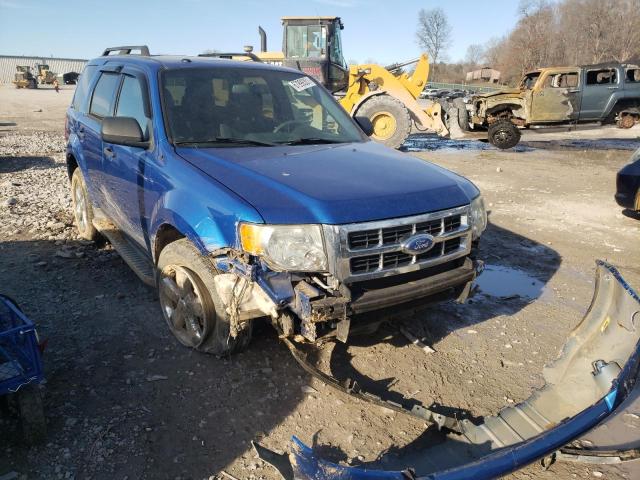 Ford Escape xlt (2011)