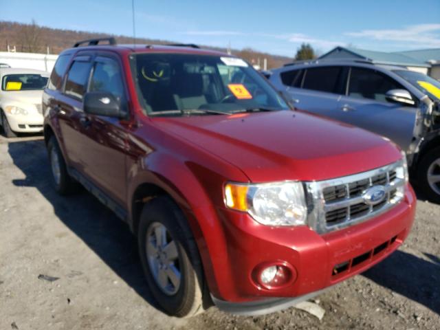 Ford Escape xlt (2012)