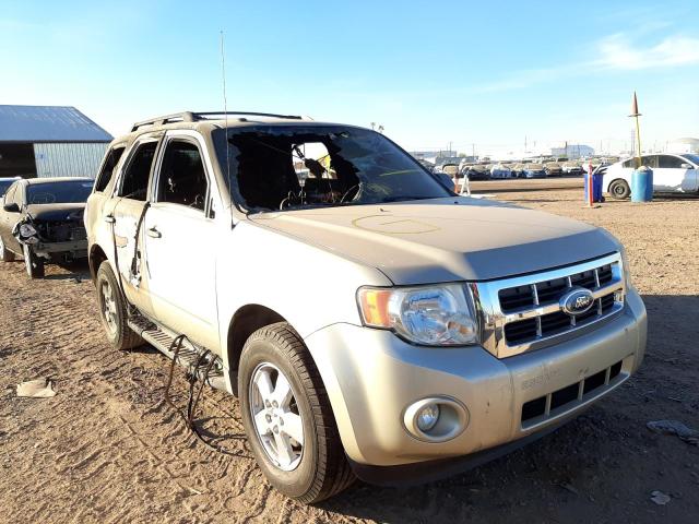Ford Escape xlt (2010)