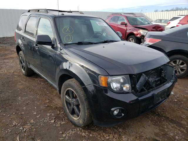 Ford Escape xlt (2010)