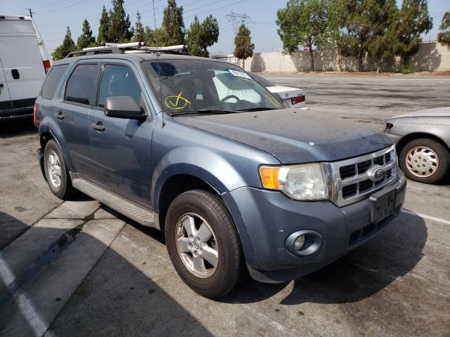 Ford Escape xlt (2011)