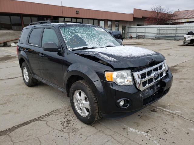 Ford Escape xlt (2011)