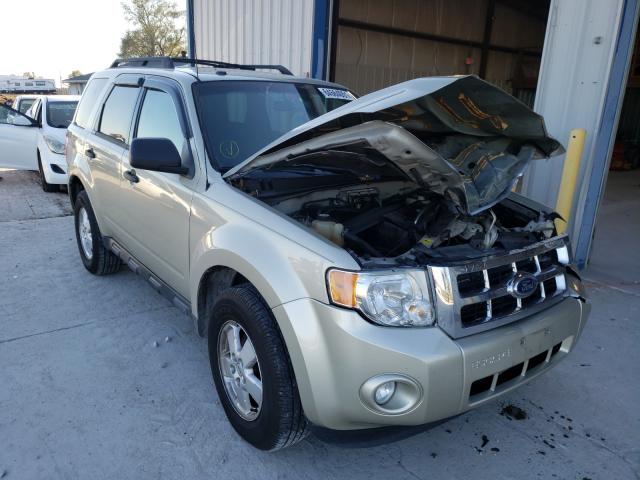 Ford Escape xlt (2011)