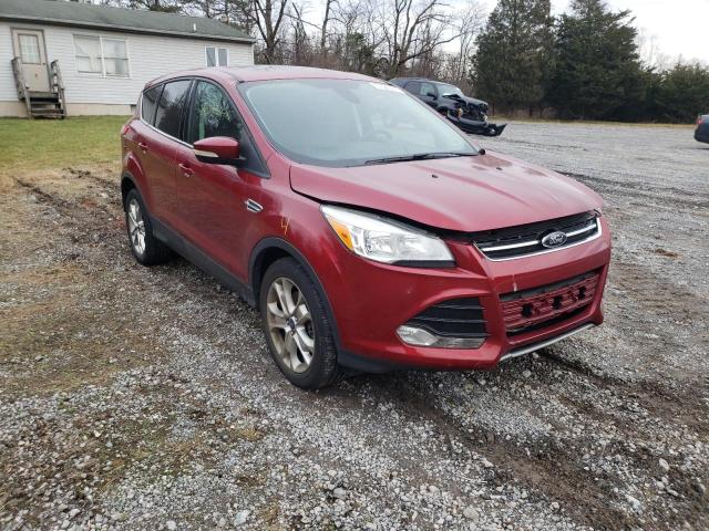 Ford Escape sel (2013)