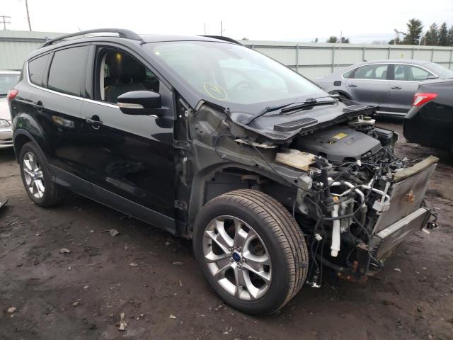 Ford Escape sel (2013)