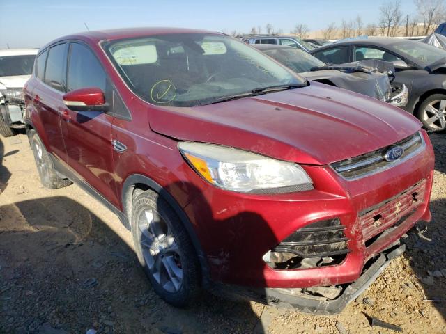 Ford Escape sel (2013)