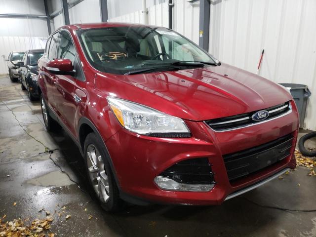 Ford Escape sel (2013)