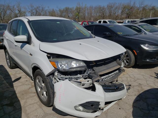 Ford Escape se (2014)