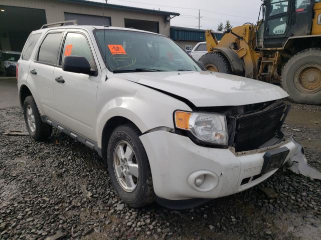 Ford Escape xlt (2011)