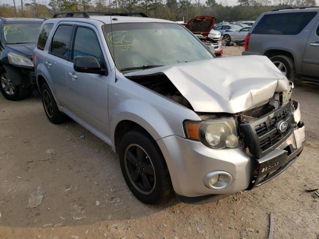 Ford Escape xlt (2011)