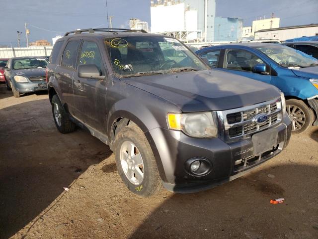 Ford Escape xlt (2011)