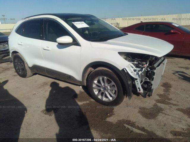 Ford Escape (2020)