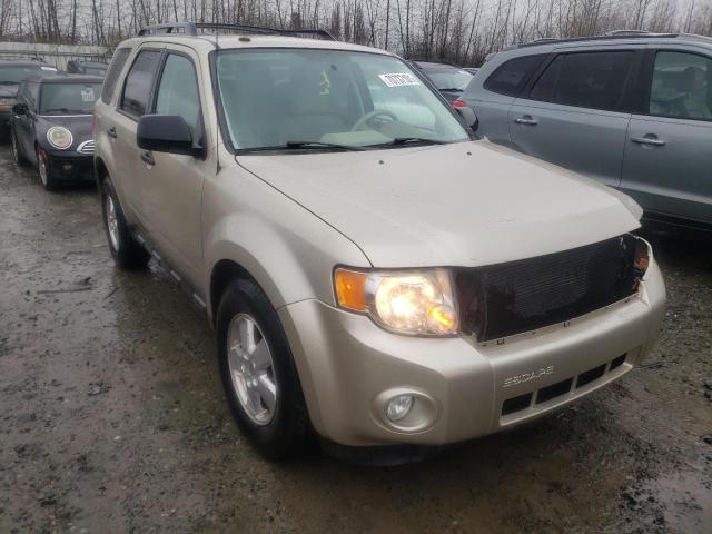 Ford Escape xlt (2010)
