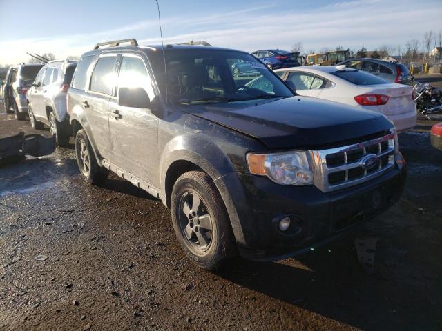 Ford Escape xlt (2010)