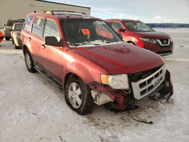 Ford Escape xlt (2011)
