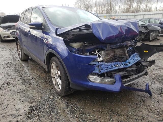 Ford Escape sel (2013)